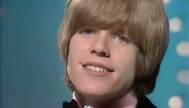 NEW * There's A Kind Of Hush - Herman's Hermits 4K {Stereo} 1967