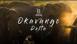 Botswana’s Okavango Delta - Heaven on Earth