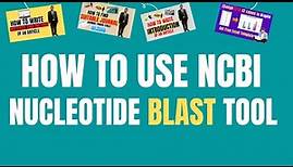 How to use NCBI nucleotide BLAST tool