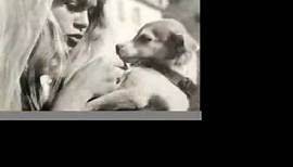 Brigitte Bardot pets and animals