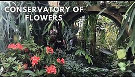 Exploring San Francisco Conservatory of Flowers