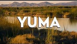 Top 10 Best Things to Do in Yuma, Arizona [Yuma Travel Guide 2024]