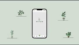 Introducing the Willow app