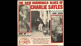 Charlie Sayles - Atlanta Boogie