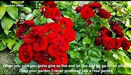 Rose Garden [Lyrics] Lynn Anderson