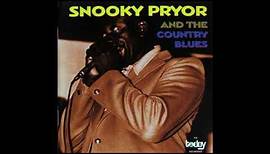 Snooky Pryor - And the Country blues Full album)