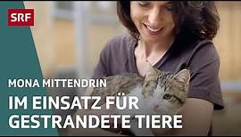 Tierpflege und Vermittlungen im grössten Tierheim der Schweiz | Mona mittendrin 2022 | SRF Dok