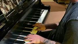Mike Scully - This is the piano that you hear on Wild...