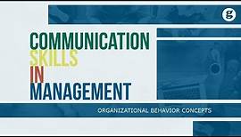Communication Skills in Organizations