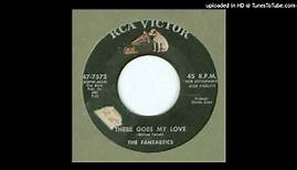 Fantastics, The - There Goes My Love - 1959