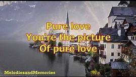 Pure Love by Ronnie Milsap - 1974 (with lyrics)