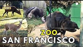 Exploring the San Francisco Zoo Walkthrough