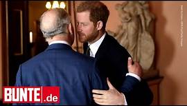 Prinz Harry – Aussprache mit Vater Charles – doch nicht mit Bruder William