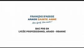 Bac Pro SN - Lycée Professionnel Arago - Roanne