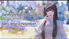 Penumbra Guides [2022] Part 1 - What is Penumbra?