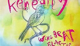 Mike Keneally - Wing Beat Elastic - Remixes, Demos & Unheard Music