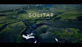 Cinematic Ambient Soundscape // 'Solitar' // FOXWINTER