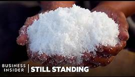 How One Of The Rarest Salts In The World Goes From Ocean To Table | Still Standing