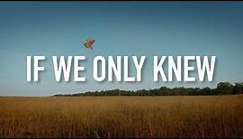 If We Only Knew - [Lyric Video] Unspoken