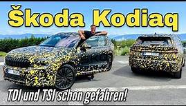 2024 Skoda Kodiaq 2.0 TDI 4x4 und 1.5 TSI: Die neue SUV-Generation im ersten Test | Review