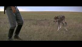 Dances with Wolves (1990) - Two Socks Scene