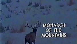 NOVA: Monarch of the Mountains (1985-TV) Wyoming Rockies Elk