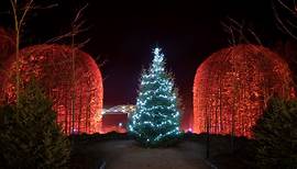 Alnwick Gardens brought to life with Winter Light Trail