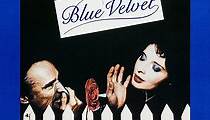 Blue Velvet - Verbotene Blicke - Stream: Online anschauen