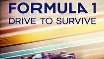 Formula 1: Drive to Survive - streaming online