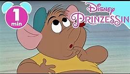 CINDERELLA: Lieblingsszene - Cinderella rettet Karli | Disney Junior