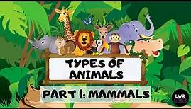 Types of Animals - Mammals