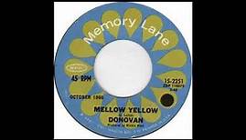 DONOVAN * Mellow Yellow 1966 HQ
