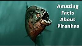 Top 25 Amazing Facts About Piranhas