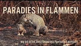 Trailer: „Paradies in Flammen: Wie die EU die Zerstörung des Pantanals befeuert“
