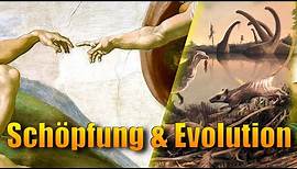 Kurz erklärt | Schöpfung und Evolution | aus dem Noah Film