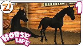 Horse Life - Freunde für immer: Unser eigenes Fohlen #1 | Let's Play ★ [GERMAN/DEUTSCH]