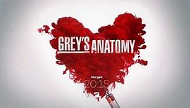 Grey´s Anatomy • Neue Folgen • Ab 29. März