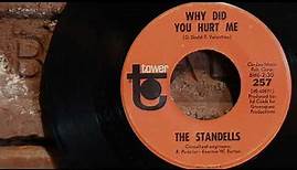 The Standells - Why Did You Hurt Me ...1966