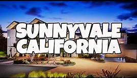 Exciting Things To Do in Sunnyvale California