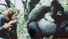 The Murder of Dian Fossey