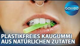 Forest Gum: Plastikfreies Kaugummi aus natürlichen Zutaten