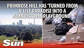 Primrose Hill has 'turned from A-list paradise into a Neanderthal playground'