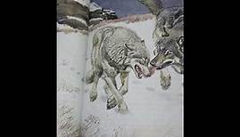 Book Trailer for Lobo, King of Currumpaw by Ernest Thompson Seton