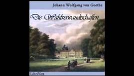 Die Wahlverwandtschaften - Johann Wolfgang von Goethe ( Hörbuch )