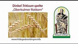 Dinkel - das beste Getreide! Hildegard von Bingen