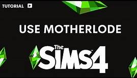 How to use motherlode in Sims 4 PS4