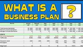 What is a Business Plan?