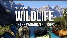 The Ultimate Canadian Wildlife Documentary: Grizzly Bears, Moose, Elk and More in the the Rockies