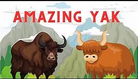 Yak | Discovering the Secrets of Yak the Marvelous Mammal | Learn about Animals for Kids