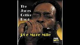 James Cotton - One More Mile (Full album )